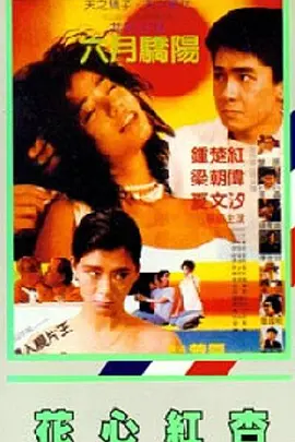 CCTV6 VIP影院 搜索 电影 星闻 独家 更多 专题 图片 视频 滚动 首页 新闻 大片 影库 CCTV6 VIP影院 客户端 电影网>新闻>原创深度策划 53年后再看《教父》：黑帮神话背后的人性困局 时间：2025.