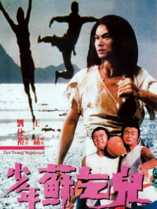 在拍摄过程中，张小斐全力以赴，细心揣摩角色，用真挚的表演打动了无数观众，完美地诠释了“李焕英”这一形象，帮助贾玲实现了将她母亲的故事搬上银幕的心愿。